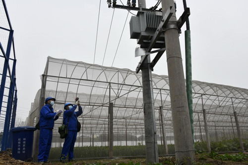 徹底解決大頭菜加工廠用電問(wèn)題 國(guó)網(wǎng)自貢供電公司為鄉(xiāng)村振興農(nóng)產(chǎn)品企業(yè) 送電